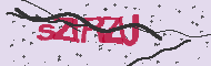 Captcha認証コード